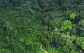 The Banco National Park is the green lung of the economic  capital.NABIL ZORKOT