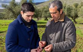 In the olive grove with his father, Leith Ben Becher. ©