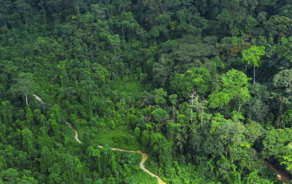 The Banco National Park is the green lung of the economic  capital.NABIL ZORKOT