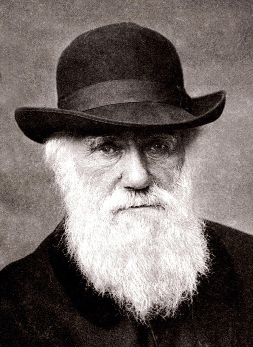 British naturalist Charles Darwin (1809–1882). DR. 