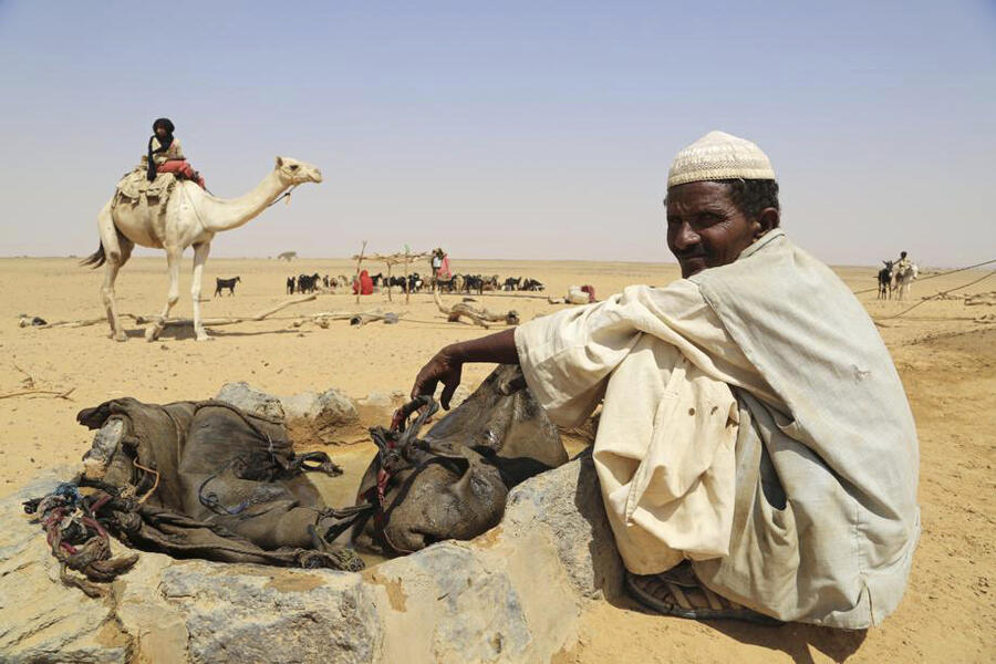 A nomadic family near the Bir Hakuma well in the Bayuda Desert, northern Sudan. XAVIER ALDEKOA.