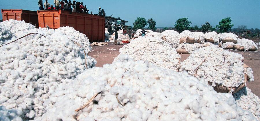 Baling cotton in Korhogo. There are 132,000 producers in the sector.